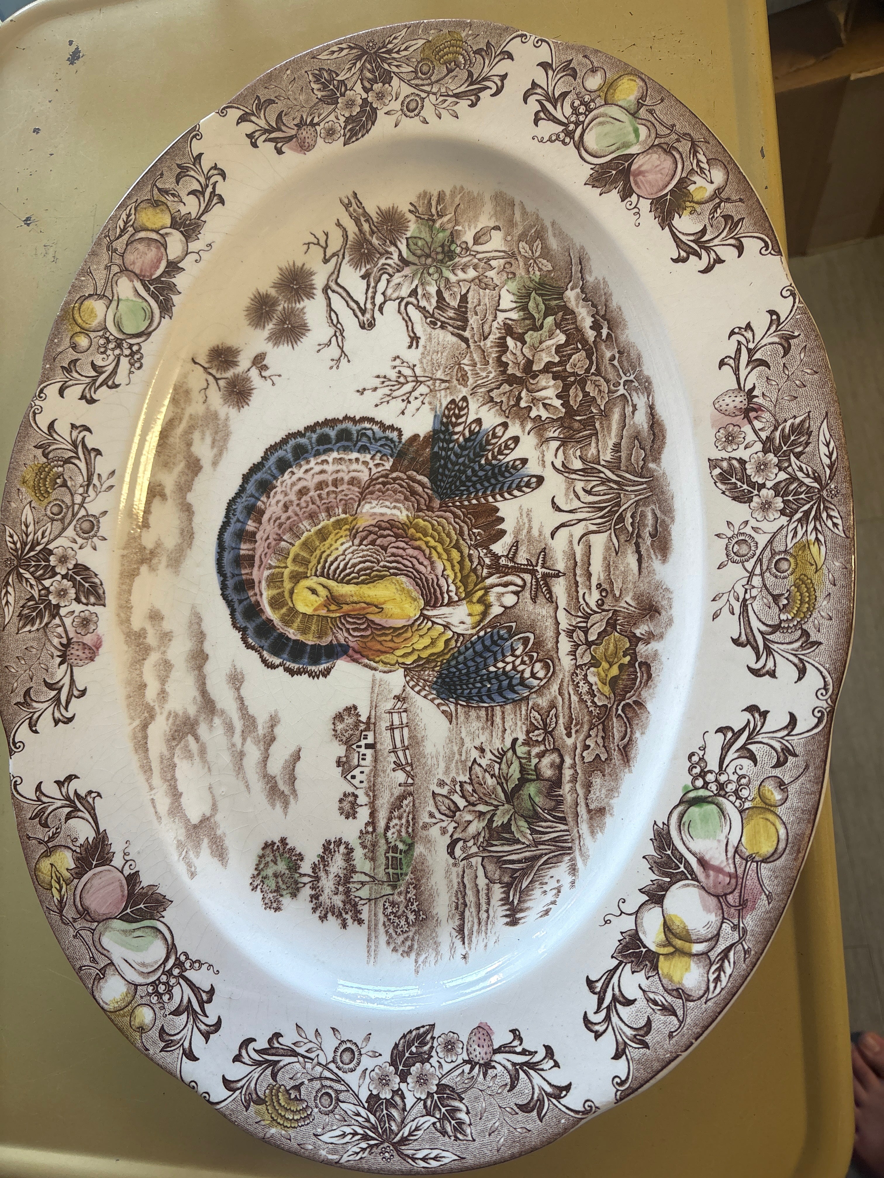 Vintage Turkey Platter