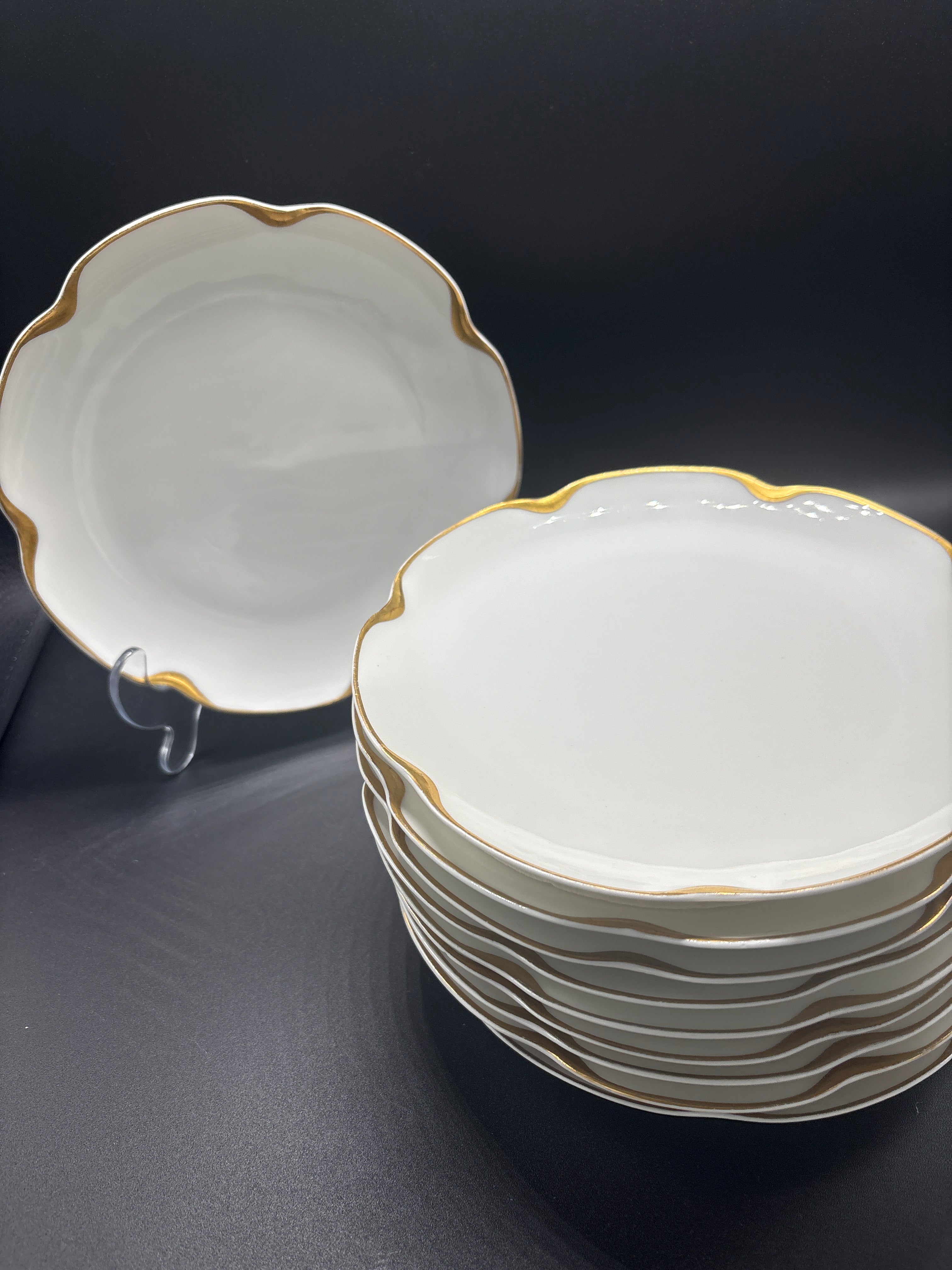VTG Haviland Limoges Plate Set 10pc