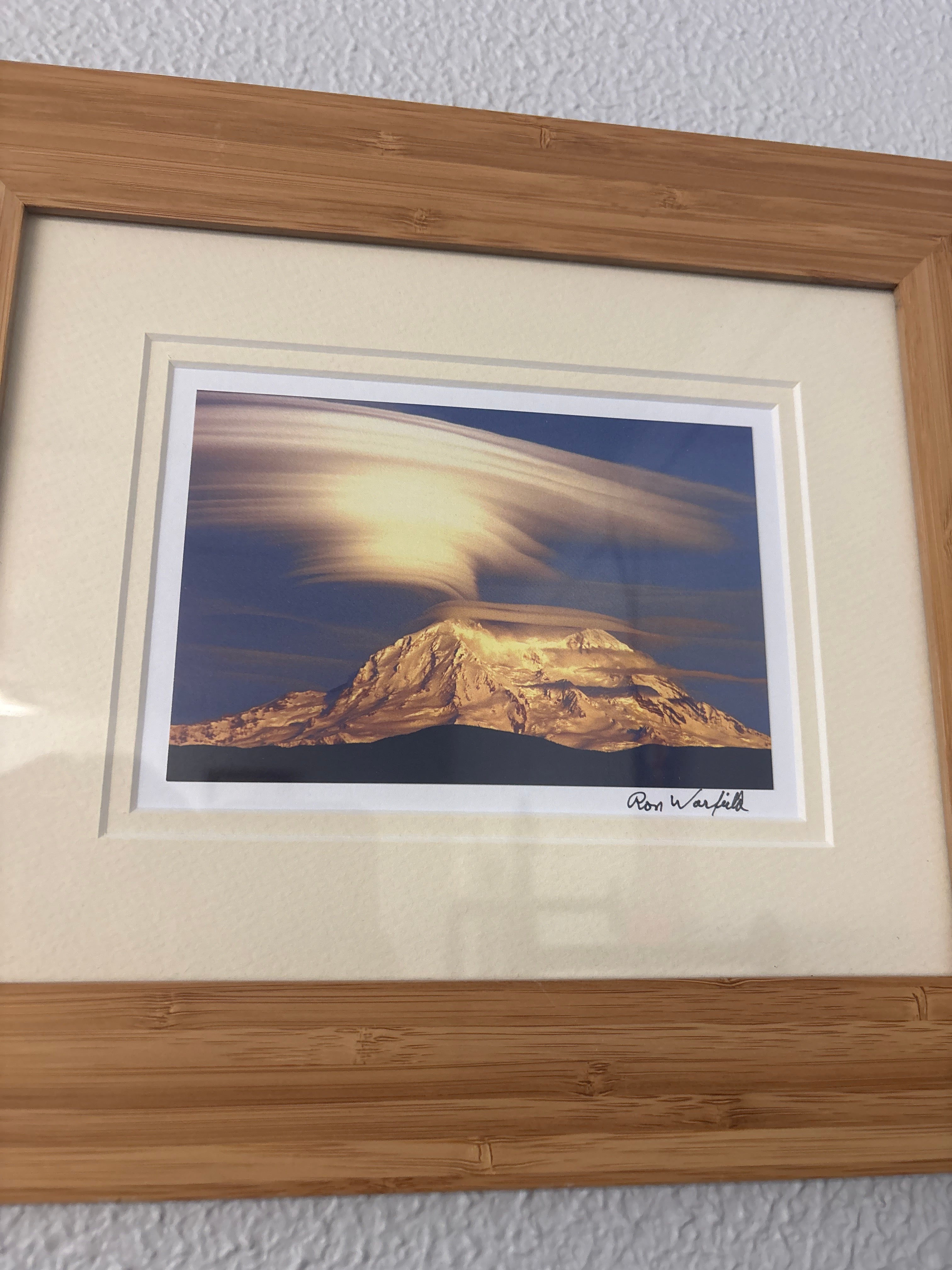 Ron Warfield Original Wildlife Photography