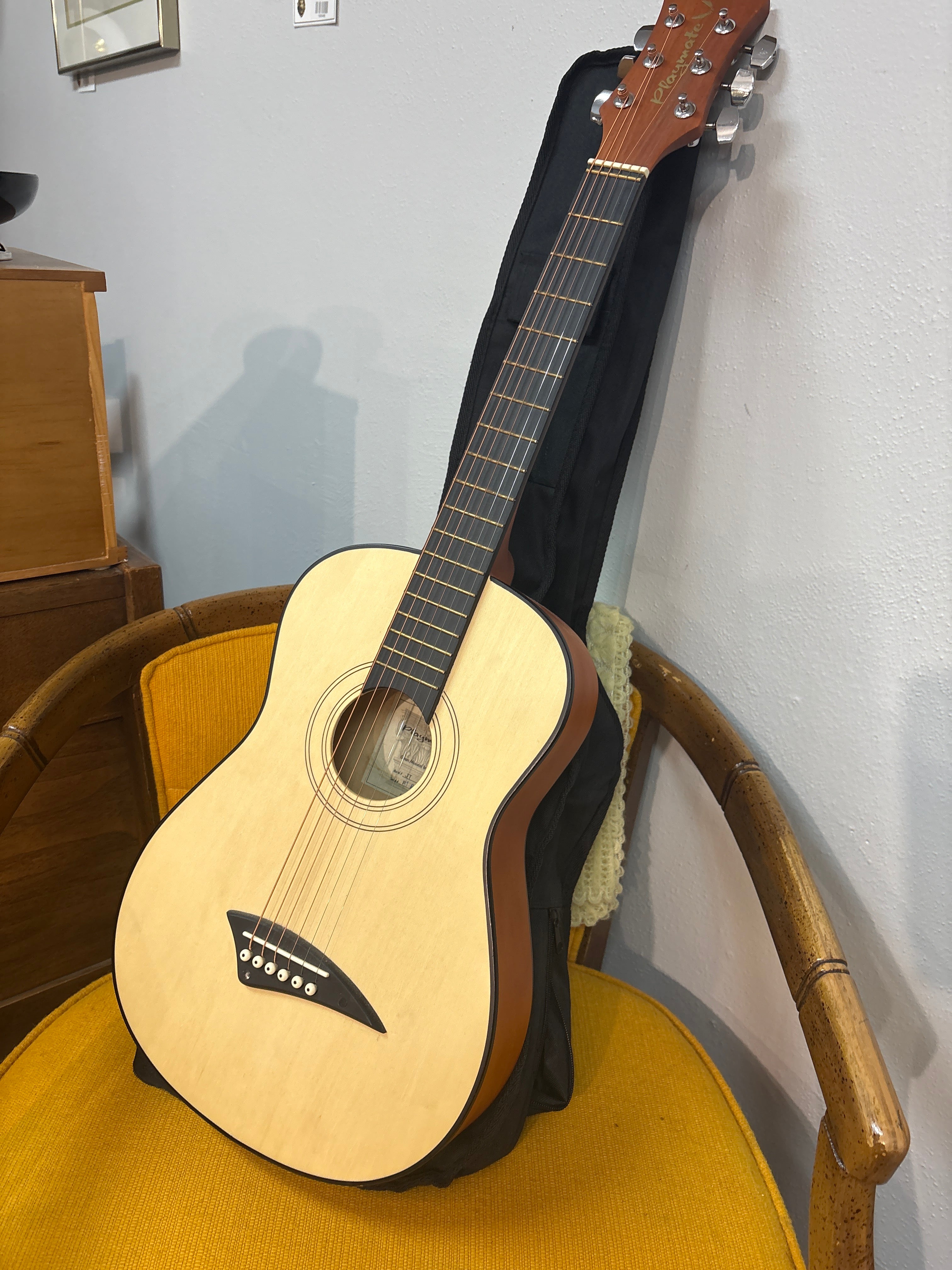 Dean Playmate Guitar