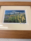 Ron Warfield Original Wildlife Photography