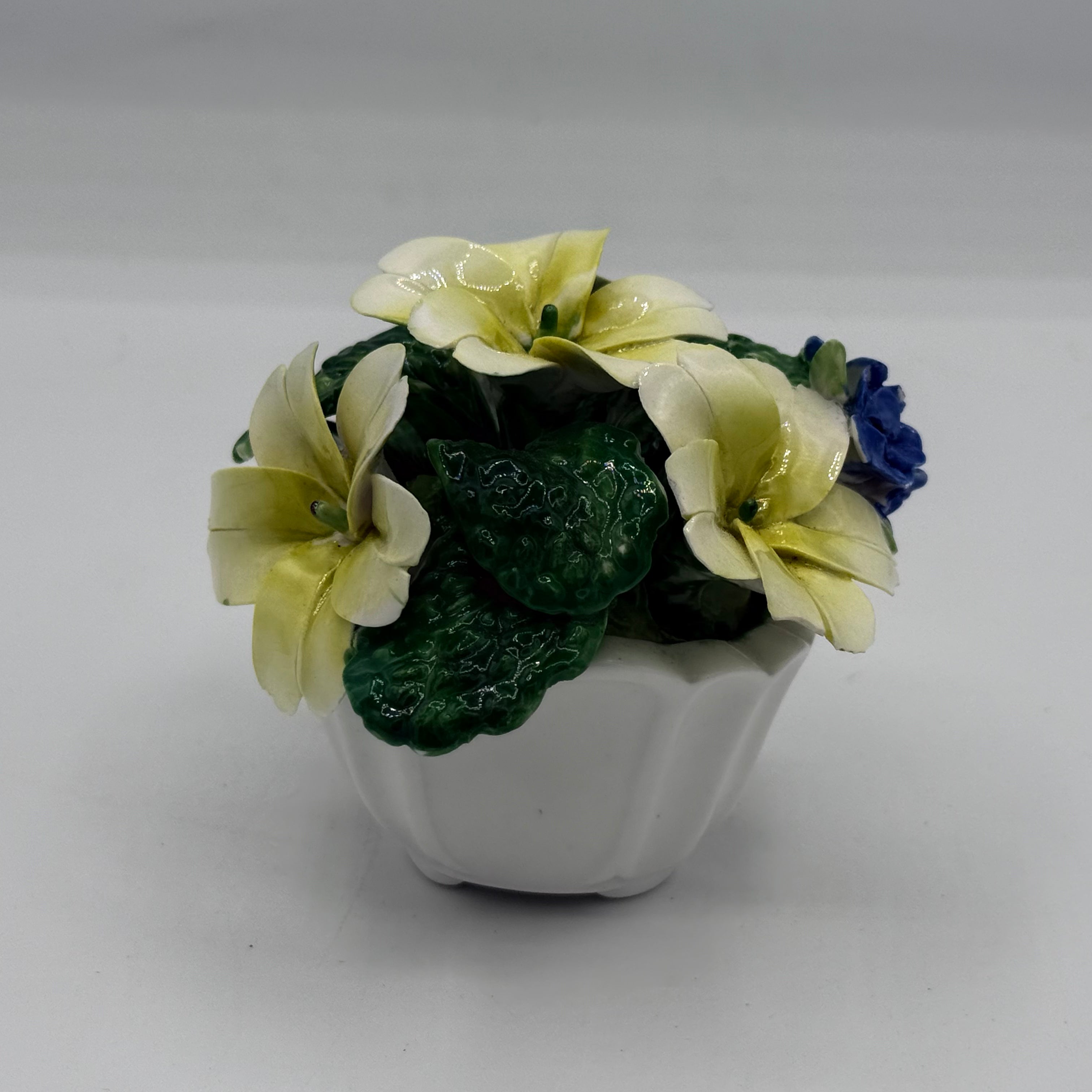 Porcelain Flowers