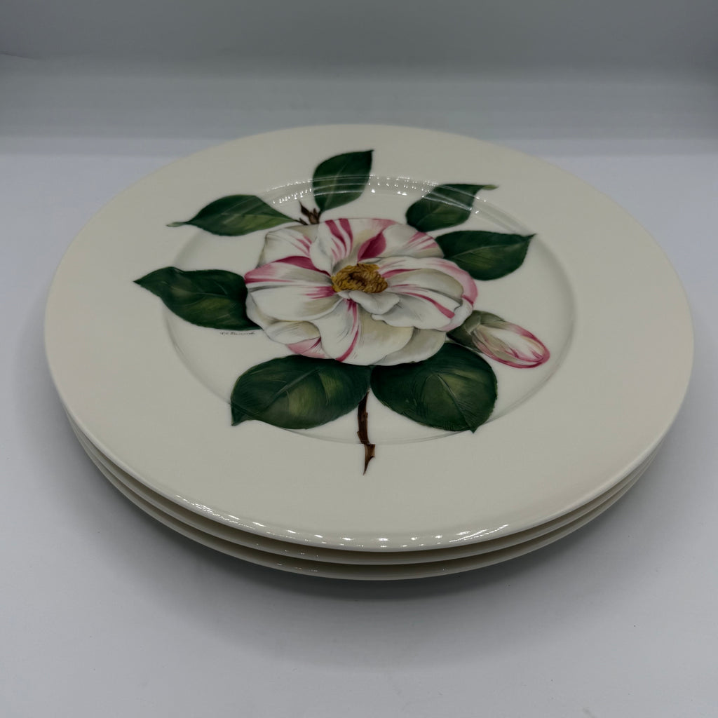 Set of 4 American Atelier Dinner Plates