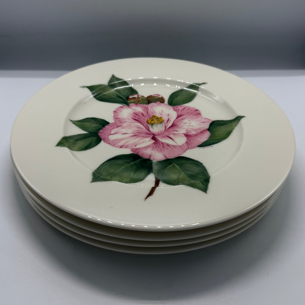 Set of 4 American Atelier Dinner Plates